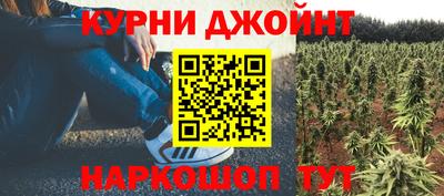 соль ск Будённовск