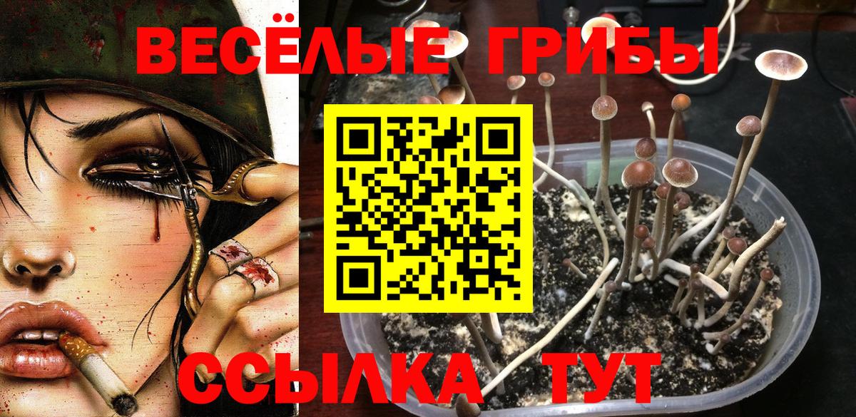 Саров  Псилоцибиновые грибы GOLDEN TEACHER  где найти   Вход с VPN  Псилоцибиновые грибы Magic Shrooms 