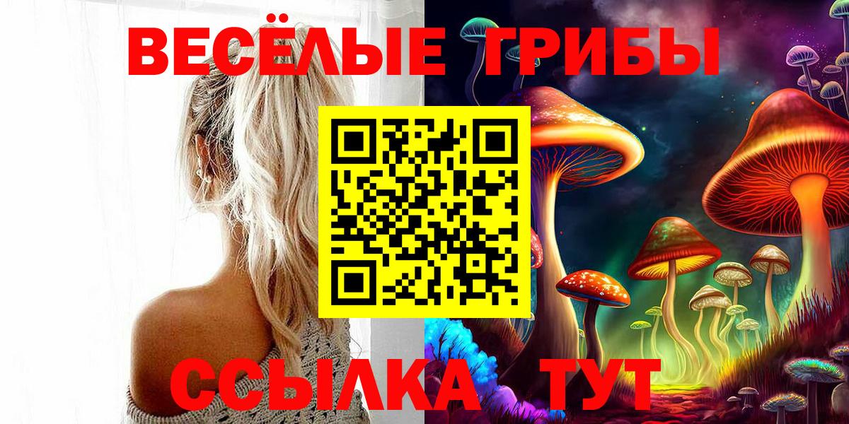Галлюциногенные грибы GOLDEN TEACHER Саров